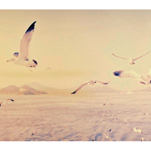 디어클라우드 사라지지 말아요 자켓