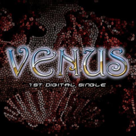 비너스 사랑 안 할래 (Feat.태사비애) 자켓