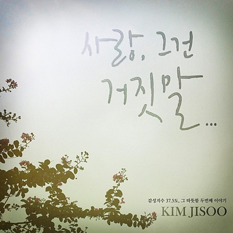 김지수 사랑, 그건 거짓말... 자켓