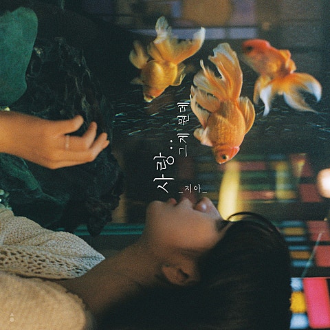 사랑.. 그게 뭔데