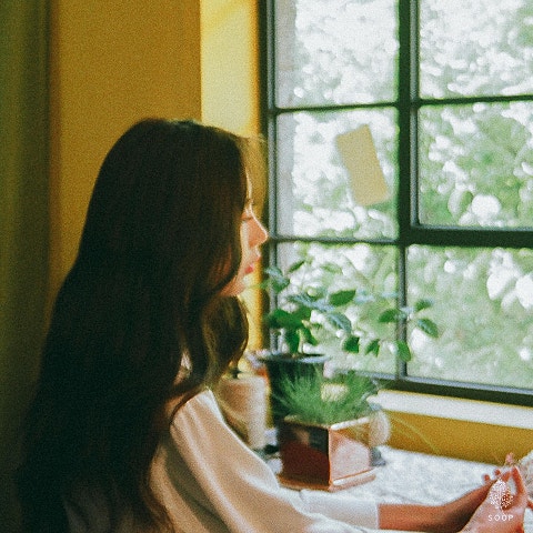 노르웨이 숲 건축학 개론 (Feat.달수빈) 자켓