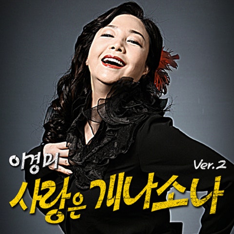 이경미 사랑은 개나 소나(시트 콤 자켓