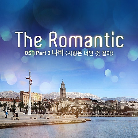 나비 사랑은 너인 것 같아 자켓