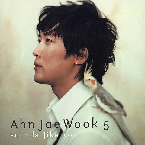 안재욱 사랑은 아프다 자켓