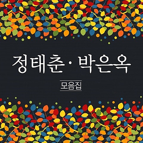 사랑의 보슬비