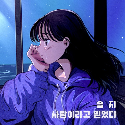 솔지 사랑이라고 믿었다 자켓