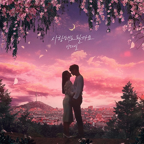 사랑해도 될까요