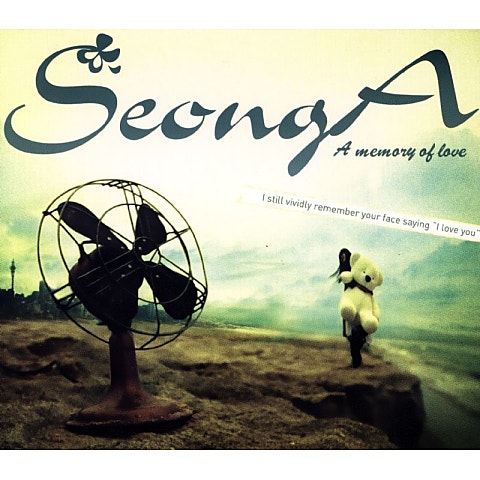 성아 사랑했었는데 자켓