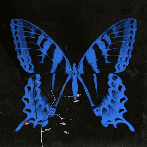 송소희 사슴신 자켓