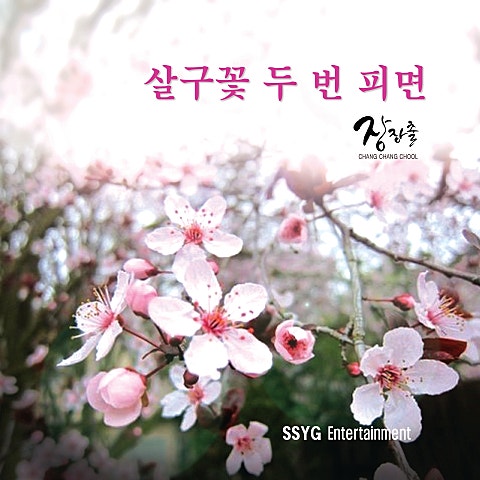 장장출 살구꽃 두 번 피면 자켓