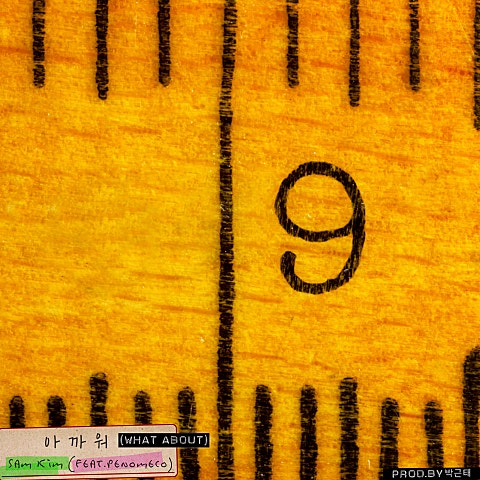 아까워(What about?) (Feat.페노메코)(Prod..