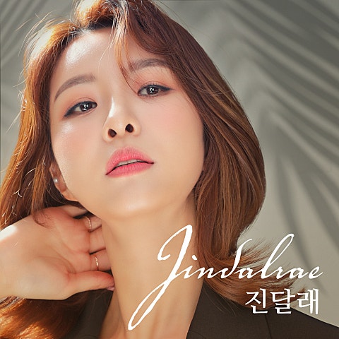 진달래 아리아리 자켓