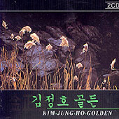 김정호 아무도 없는 거리 자켓