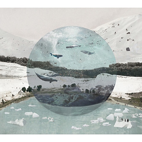 짙은 고래(Drama Ver.) (드라마 자켓