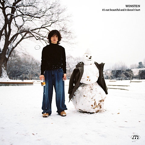 원슈타인 안 아름답고도 안 아프구나 자켓