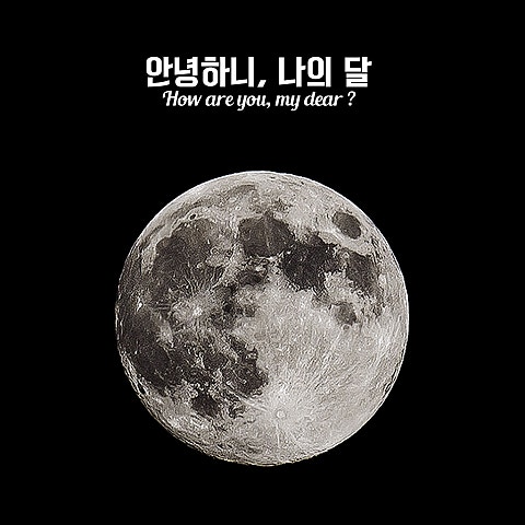 새봄 안녕하니, 나의 달(With 다은 Of 피그말리온) 자켓