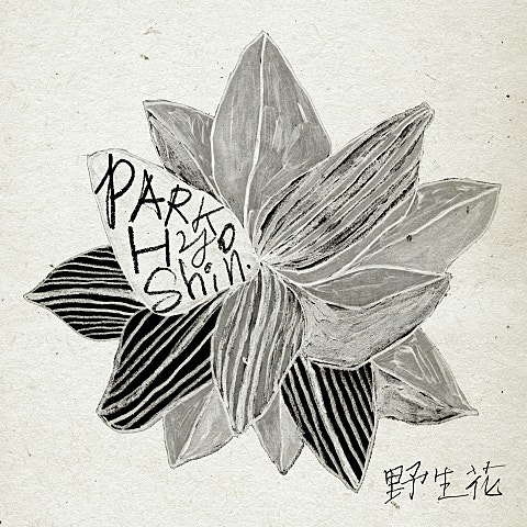 박효신 야생화 자켓