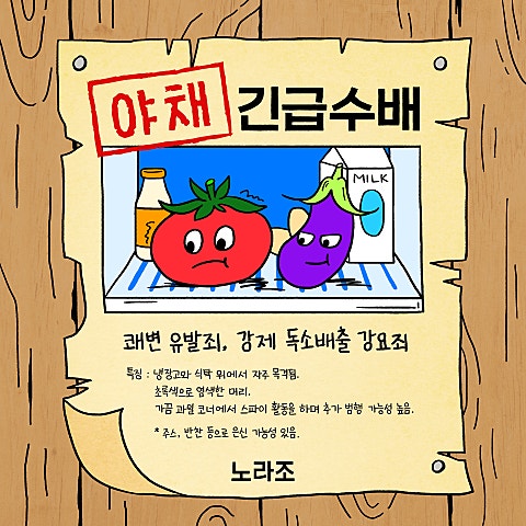 노라조 야채 자켓