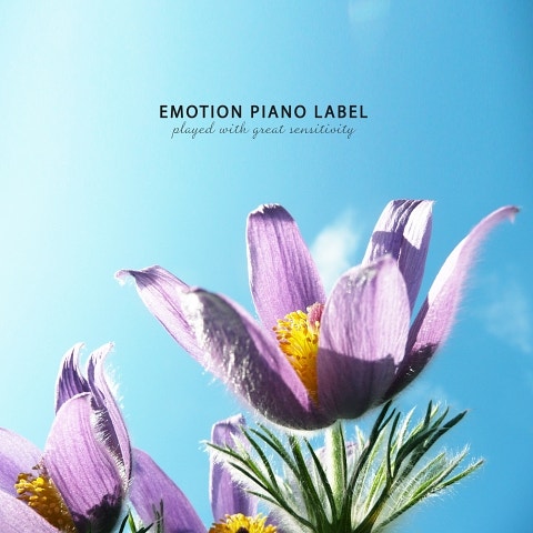 FLOWER 약속 자켓