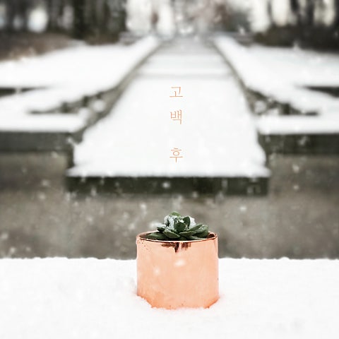 박기영 고백 후 자켓