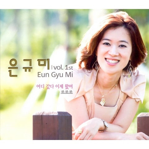 은규미 어디 갔다 이제 왔어 자켓