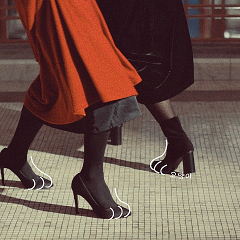 고양이 (Feat.아이유)