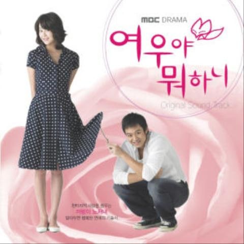 안미선 여우야 뭐하니(드라마 자켓