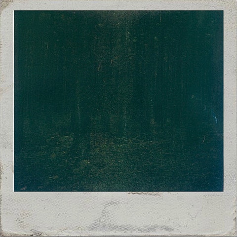 리도어(Redoor) 영원은 그렇듯 자켓