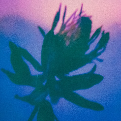 박원 자격 자켓