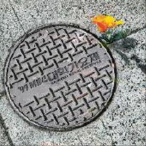 설지현 작전타임 (99 자켓