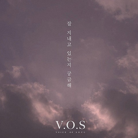 V.O.S 잘 지내고 있는지 궁금해 자켓