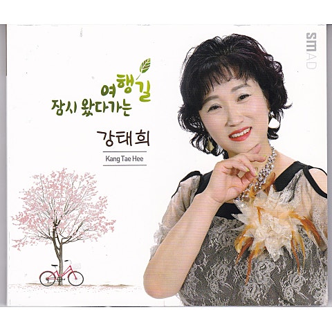 강태희 잠시 왔다 가는 여행길 자켓