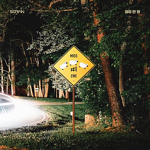 소란 잠이 안 와 자켓