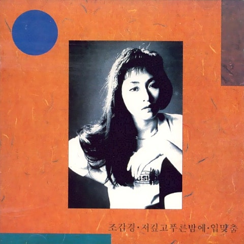 조갑경 저 깊고 푸른 밤 자켓