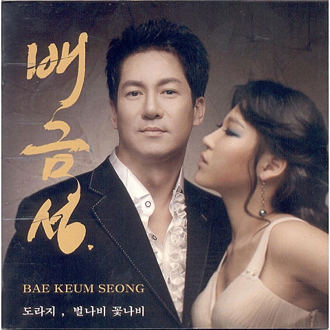 배금성 저 바람 속에 자켓