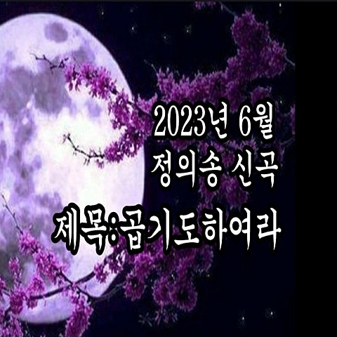 정의송 곱기도 하여라 자켓