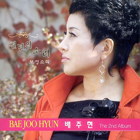 배주현 정든 사람아 자켓