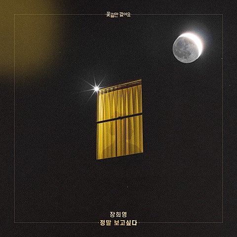 정말 보고 싶다 (드라마