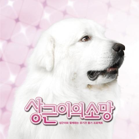 슈퍼주니어 지금 만나러 가요 자켓