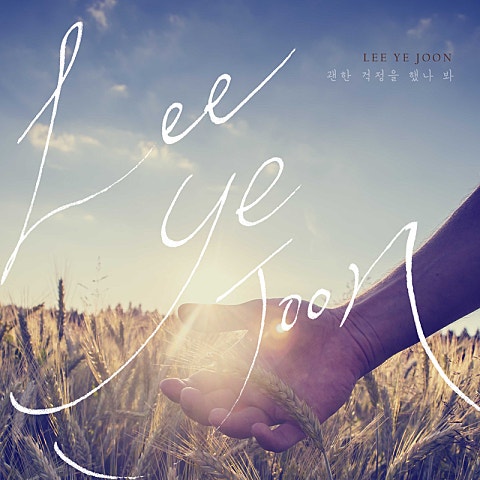 이예준 괜한 걱정을 했나 봐 자켓