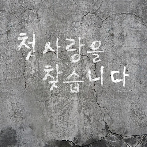 서영은 첫사랑을 찾습니다 자켓