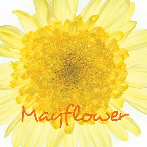 추억 속에서 만나요 (Feat.이승환)