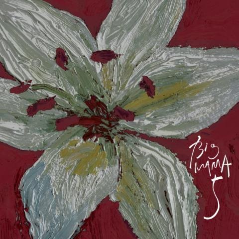 BIG MAMA 태우다 자켓