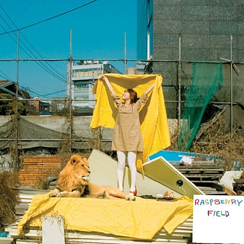 라즈베리필드 토요일 오후에 자켓