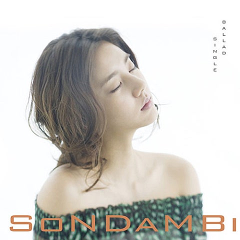 손담비 투명 인간 자켓