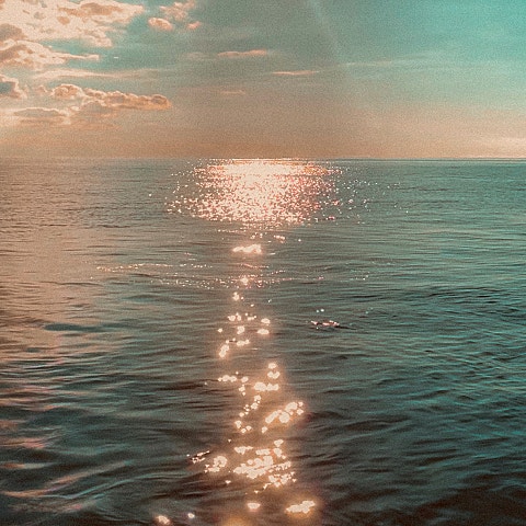 폴킴 투성이 자켓