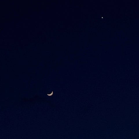 그 애가 떠난 밤에