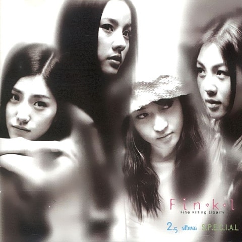 핑클 가면의 시간 자켓