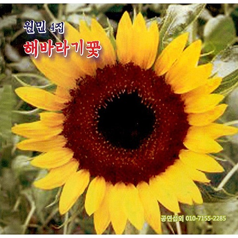 원민 그 여인 자켓