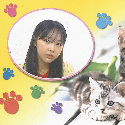 미노이 하기 싫어 자켓